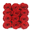 Viewed from above, this image shows a lavish square of twelve red roses arranged in a perfectly ordered three-by-four grid, every bloom pressed close so that their petals almost interlock. Each rose is at that coveted moment of full openness, with tightly choreographed spirals of petals forming rich, layered rosettes. The red is intense and saturated, somewhere between ruby and garnet, with the soft lighting coaxing out gentle highlights along the petal rims and leaving the inner curls in warm shadow. The overall effect is a dense, velvety tapestry of colour and texture, as if someone in Epping has just lifted the lid on a luxurious rose box after a stroll along the High Street. Only a slim glint of the dark, likely lacquered, presentation box is visible at the very bottom, acting as a discreet frame that emphasises the precision of the floral layout. There are no stems, leaves, or filler flowers-just twelve flawless rose heads standing shoulder to shoulder, exuding a sense of carefully curated abundance. The visual symmetry and pristine condition suggest that these might be preserved or eternity roses, designed to hold their beauty long after an anniversary dinner or Valentine's evening has passed. One can almost imagine the faint, sweet fragrance lingering in the air of a cosy home off Theydon Road. The composition speaks of devotion and thoughtfulness, the kind of gift a local florist would recommend when a simple bouquet is not enough, and a lasting symbol of love delivered across Epping is the true intention.