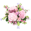 This photograph shows a lush, romantic bouquet in shades of pink, fuchsia, and soft lavender set against a clean white background, as if it has just been placed on a light-filled kitchen table in Epping. At the very heart of the design, three generously sized heads of pale pink hydrangea form pillowy spheres of petals, each floret contributing to a rich, cloud-like texture that instantly suggests indulgence and care. Nestled closely around them are blush pink roses, some unfurling slowly with a sense of quiet confidence, others in tighter buds that hint at blossoms yet to come; together they bring a timeless, elegant charm. Dancing through the arrangement are clusters of tiny, star-shaped blooms in deeper magenta and bright fuchsia tones, similar to waxflower, creating little sparks of colour and a fine, airy texture. Slender sprigs of small, five-petalled pink flowers, reminiscent of phlox, blend effortlessly with the larger petals, softening transitions and adding a gentle, meadowy feel. From the upper edges, graceful stems of bell-shaped campanula emerge in cool lavender and periwinkle hues, their nodding cups introducing a soothing contrast to the warmer pinks. Around the edges, fresh green hydrangea leaves and lighter foliage form a natural frame, grounding the piece and giving it a freshly gathered-from-the-garden look. The bright, even lighting enhances the bouquet's pastel palette and reveals every delicate vein and ruffle. This arrangement feels like a quiet celebration of spring, the sort of bouquet you might have delivered to a loved one near Epping Station or along High Road to say thinking of you, happy birthday, or simply to brighten an ordinary afternoon.