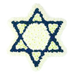 A large Star of David funeral wreath, composed exclusively of white and dark blue flowers, is displayed against a pure white backdrop, giving it a serene, almost floating presence. The star's outline is meticulously traced by white chrysanthemums or similar small-petalled blooms, tightly clustered to form a soft, pillowed frame around each of the six points. Their petals overlap in gentle layers, catching the light and creating a subtle play of shadows within the white itself. Inside this border, a central hexagon of the same fresh white flowers appears calm and steady, like the quiet centre of a prayer. Extending outwards, the points of the star are richly filled with a carpet of deep navy or indigo flowers, their darker hue adding solemnity and focus to the design. Each blue triangle is carefully edged where it meets the centre by a smaller triangle of white blooms, so that the design alternates rhythmically between light and dark, symbolising remembrance and hope. The arrangement feels expertly crafted, as though made by local Epping florists for delivery to a synagogue service, burial ground, or family home gathering for shiva. There is no visible foliage or distraction, just the purity of the geometric star and the intensity of its colours. The tribute conveys a sense of dignity, comfort, and enduring Jewish identity, suitable for honouring a beloved family member or community elder with a meaningful floral symbol that speaks softly of faith, memory, and the bonds that continue long after the funeral has ended.