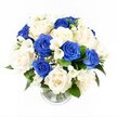 A carefully composed bouquet of blue and white flowers sits in a clear cylindrical glass vase, photographed from a slightly raised angle against a spotless white background that places full attention on the blooms, as if spotlighted on a sympathy stand in an Epping chapel. The arrangement forms a rounded, almost perfectly symmetrical dome, densely filled so that petals touch and overlap, giving a sense of completeness and gentle embrace. Striking deep blue roses are scattered throughout the bouquet, their velvety petals layered in rich, saturated tones, some just beginning to open and others fully unfurled, reminiscent of the evening sky beyond Epping Forest. Nestled among them, creamy white and ivory roses unfold in soft, spiralling layers, their pale colour bringing a sense of light and tranquility. Slim stems of white freesia weave delicately through the design, their small, bell-shaped flowers lifting slightly above the roses, suggesting a fresh, subtle fragrance drifting through a quiet home in Thornwood or a remembrance gathering near the High Street. Tiny clusters of white gypsophila are threaded in between, like small clouds softening the space between larger blooms and adding intricate detail. Around the lower edge, dark green foliage emerges in modest touches, framing the design and giving a natural contrast that enhances the purity of the palette. The vase reveals neatly trimmed stems standing in clear water, and its lightly ribbed base catches the light with gentle glimmers. Together, these elements create a serene blue and white sympathy bouquet that feels deeply comforting and respectful, well suited to expressing support and remembrance across Epping and nearby villages.