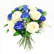 A serene bouquet of roses in shades of deep sapphire blue and gentle cream is captured against a flawless white background, as if suspended in a quiet moment of reflection. The flowers are arranged in a tight, rounded form, each bloom nestled closely to its neighbour, evoking the feeling of an embrace. Around half of the roses are a rich, velvety blue, their petals layered deeply and curling slightly at the edges, creating pockets of shadow and light that draw the eye inward. Interspersed with them, the cream and ivory roses open in graceful spirals, their softer tones lending warmth and comfort to the cooler blues. Clusters of tiny white baby's breath thread delicately between the larger flowers, like a fine mist settling over the arrangement, adding softness and a sense of air around the sturdier rose heads. Dark green foliage, polished and fresh, peeks from beneath and between the blooms, framing the palette with a natural depth that calls to mind the greenery around Epping's quiet lanes and nearby countryside. The stems extend beneath the bouquet, straight and neatly tied, making it clear that this is a hand-crafted design meant to be carried or gently placed somewhere meaningful. The lighting is bright but gentle, with minimal shadows, allowing each petal, leaf, and tiny flower to be clearly defined. There is a quiet dignity in the combination of colours-blue suggesting contemplation and loyalty, cream expressing purity and care-which makes this bouquet especially suited to sympathy gestures, funerals, or memorials in and around Epping, when you wish to offer comfort and remembrance in a beautifully understated way.