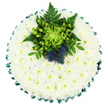 Seen from overhead against a plain white background, this circular funeral tribute looks like a perfectly formed cushion of white petals, ideal for a dignified service in Epping or nearby villages. The base of the design is built entirely from tightly packed white chrysanthemums, each blossom nestled so close to the next that they create a seamless, velvety surface, like a carefully stitched quilt. The faint green hue at the centre of each bloom lends a delicate glow that softens the bright white. Around the perimeter, a rich emerald-green satin ribbon is pleated into graceful folds, framing the flowers with a neat, decorative border that adds structure and a touch of formality. Just above the centre, a striking cluster of greenery, berries, and accent flowers acts as the heart of the tribute. A lime-green spider chrysanthemum, with slender, curling petals, forms the focal bloom, surrounded by shiny, apple-green Hypericum berries that add a fresh, almost dewy feel. Fern fronds and deep green foliage interlace through the cluster, providing contrast and shadow. Nestled among the greenery, two Scottish thistles in muted blue-purple rise proudly, their spiky, globe-shaped heads providing a distinctive textural counterpoint to the soft white base and symbolising strength, resilience, or a Scottish connection. The arrangement feels cool, composed, and respectful, the sort of carefully considered memorial cushion a local Epping florist would prepare for a funeral, cremation, or celebration of life, bringing quiet beauty and comfort to the families who gather to say goodbye.